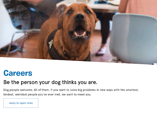 screenshot of BarkBox's Career page